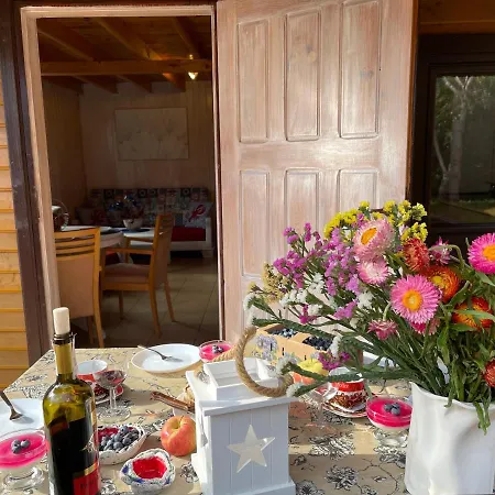 Lodge Letniskowe Edi *